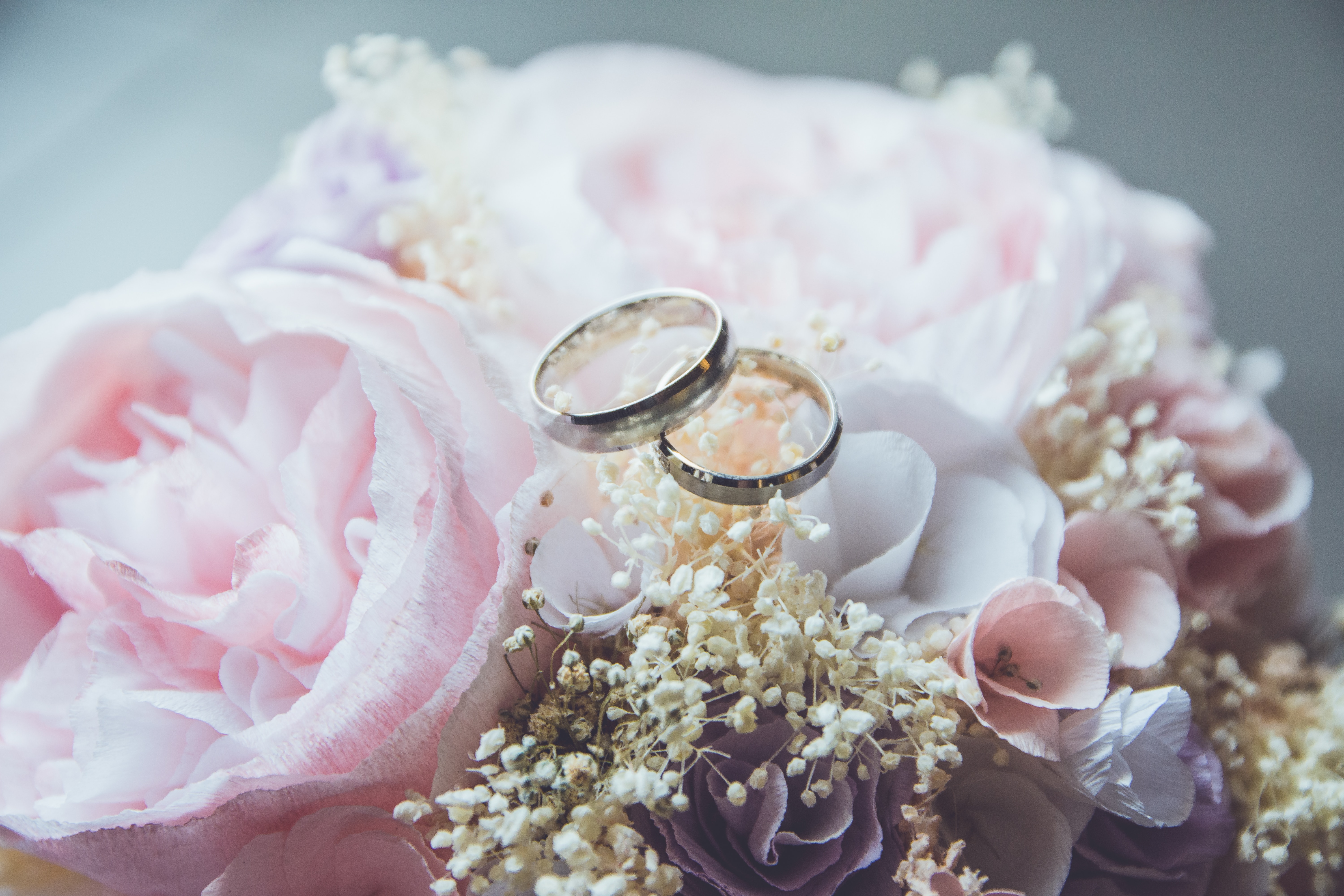 Heiratsanträge
